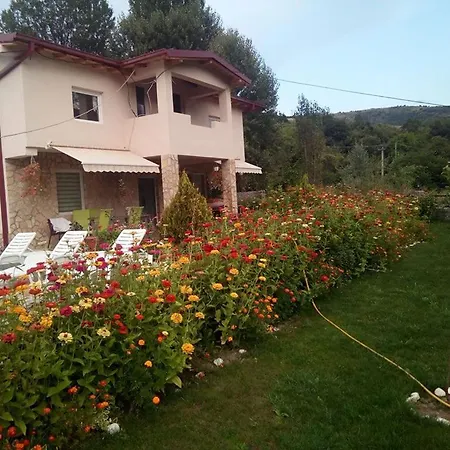 Talev Villa *